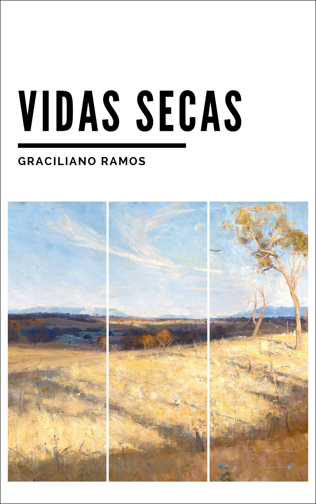 Image de capa do livro